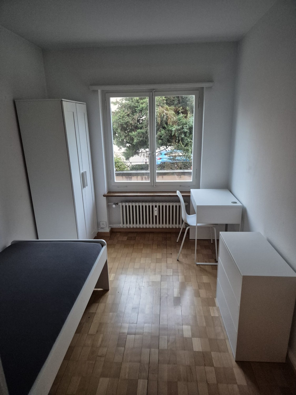 Room in a shared flat