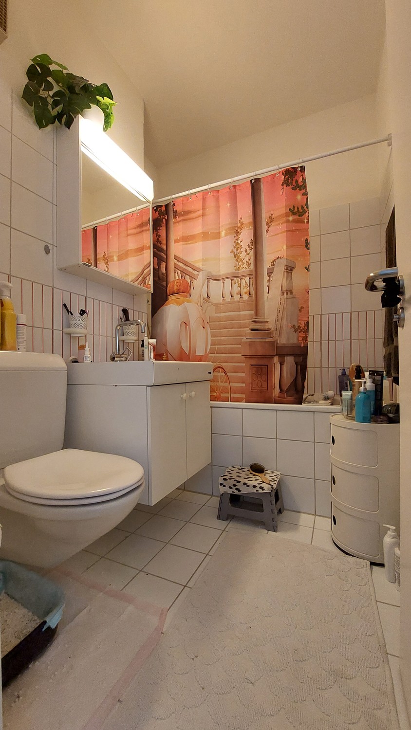 2 ½ rooms apartment