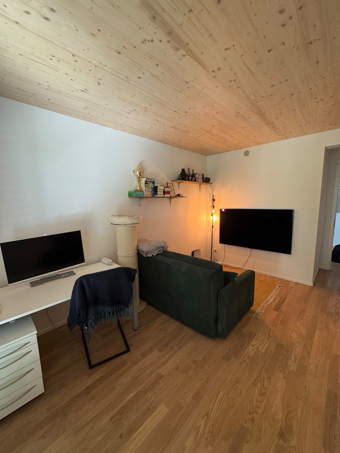 Appartamento di 3 ½ locali