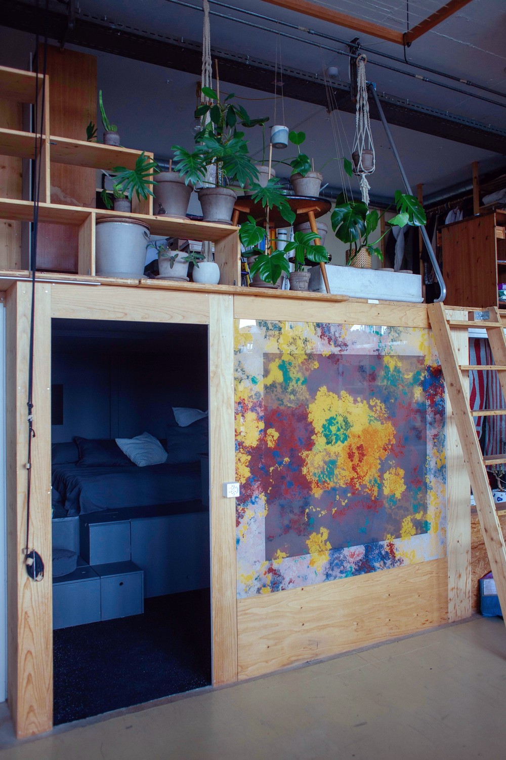 Room in a shared flat