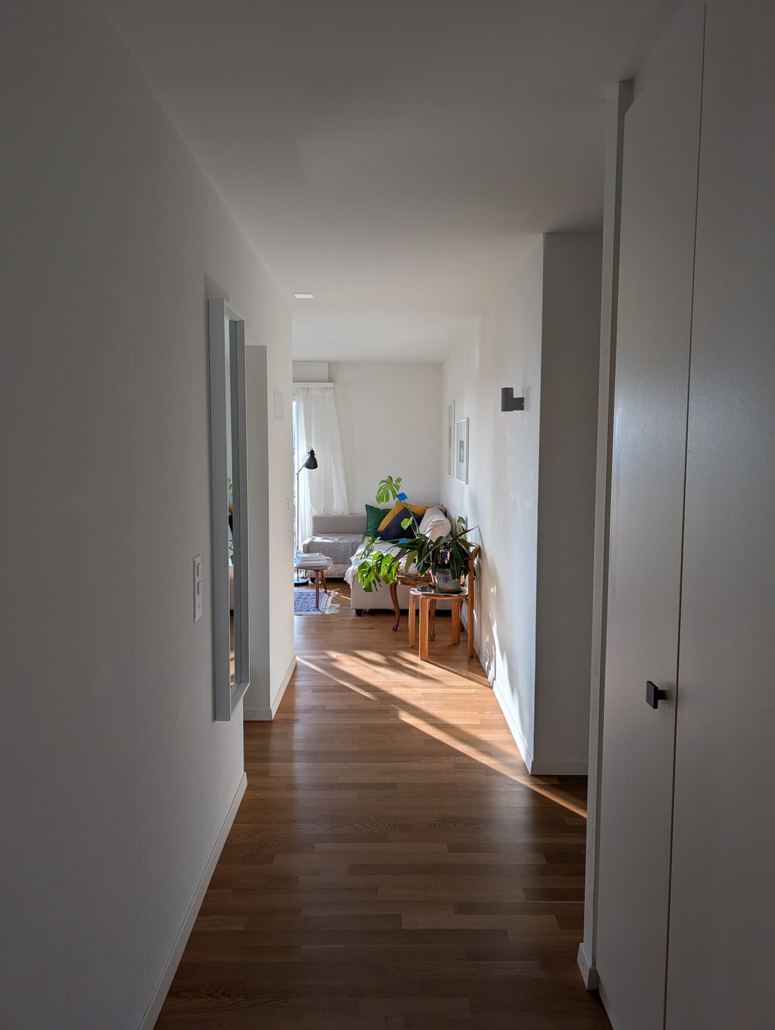 Room in a shared flat