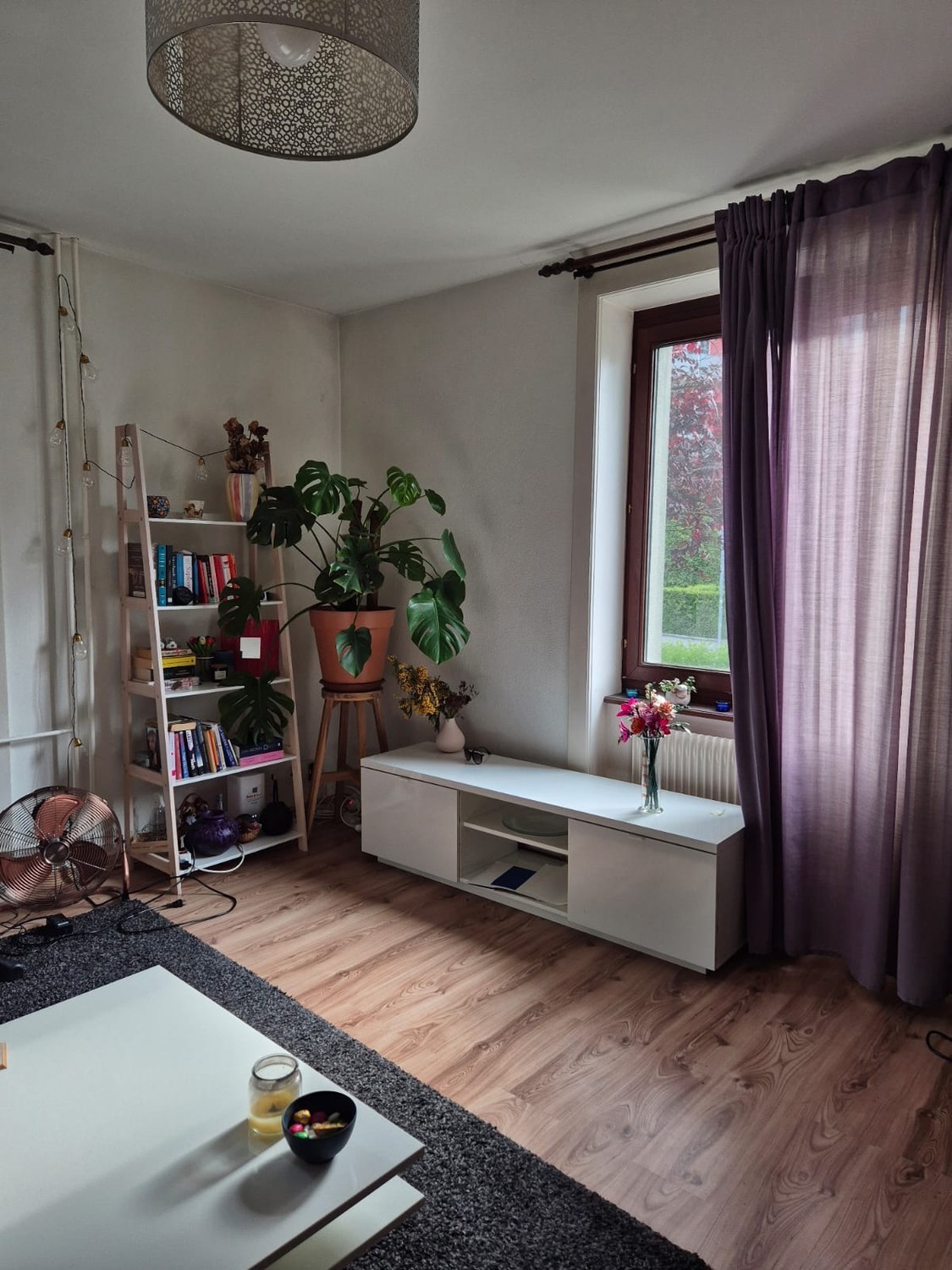 3 ½ Zimmer Wohnung