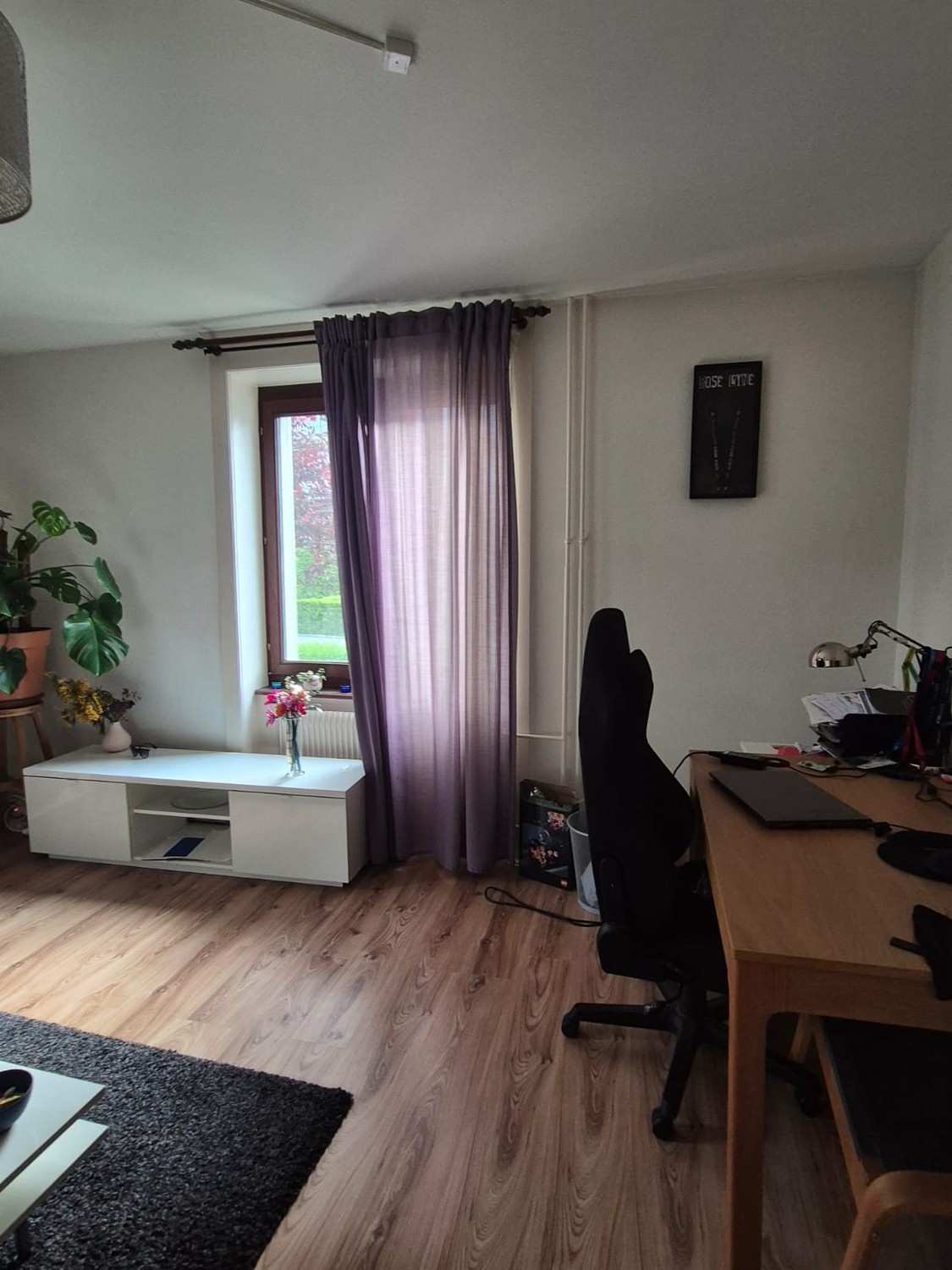 3 ½ Zimmer Wohnung
