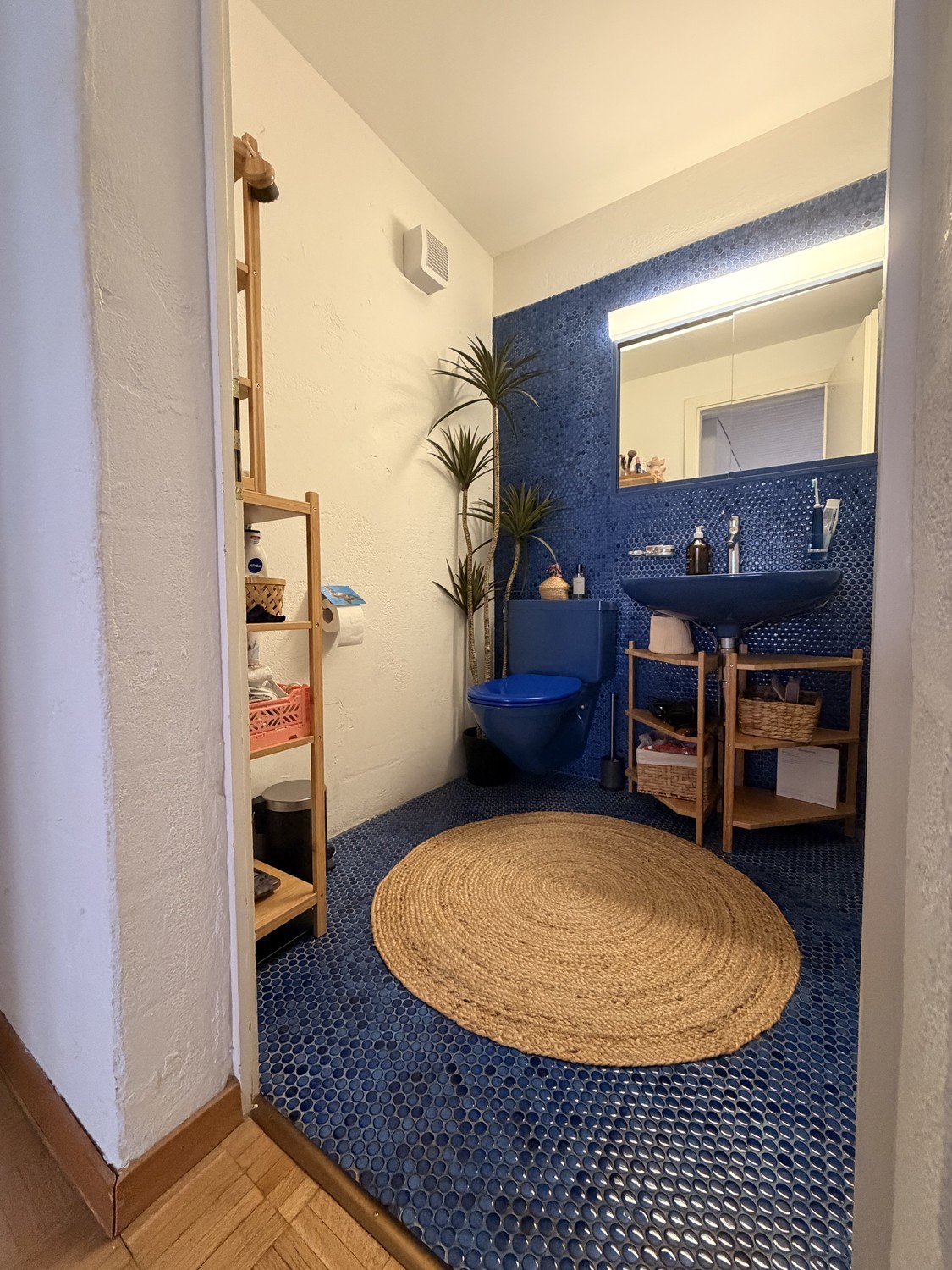 2 ½ rooms apartment