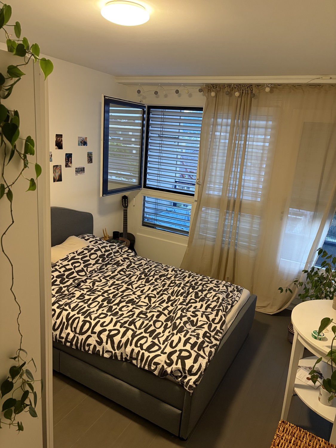 Room in a shared flat