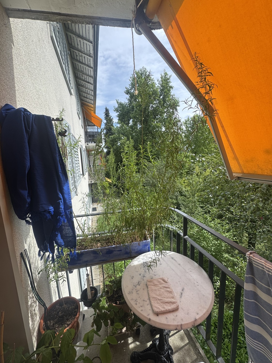 2 ½ room apartment","description":"2.5 room apartment, some furniture can be taken over."}