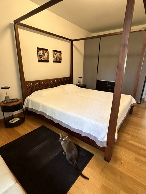 2-Zimmer-Wohnung