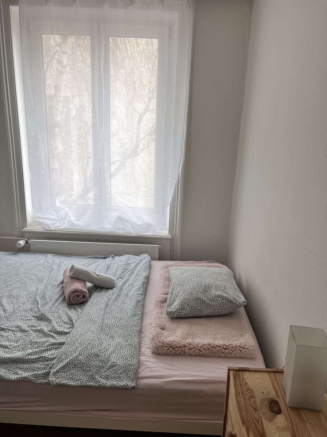 Room in a shared flat