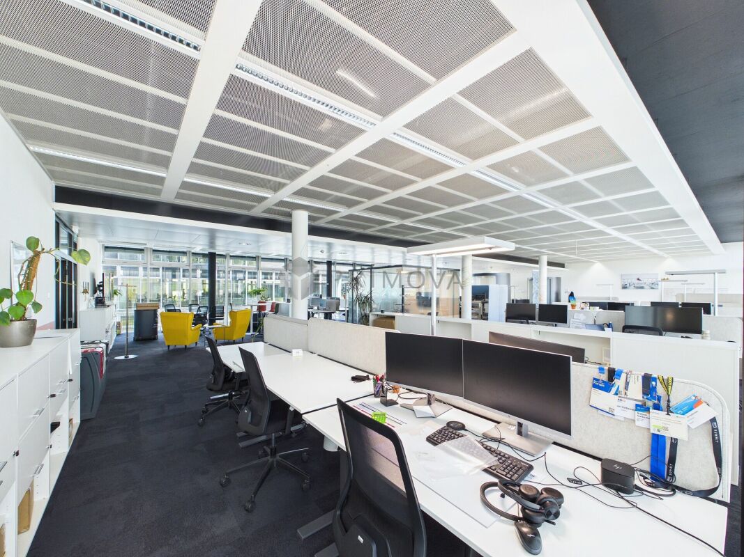417m² office