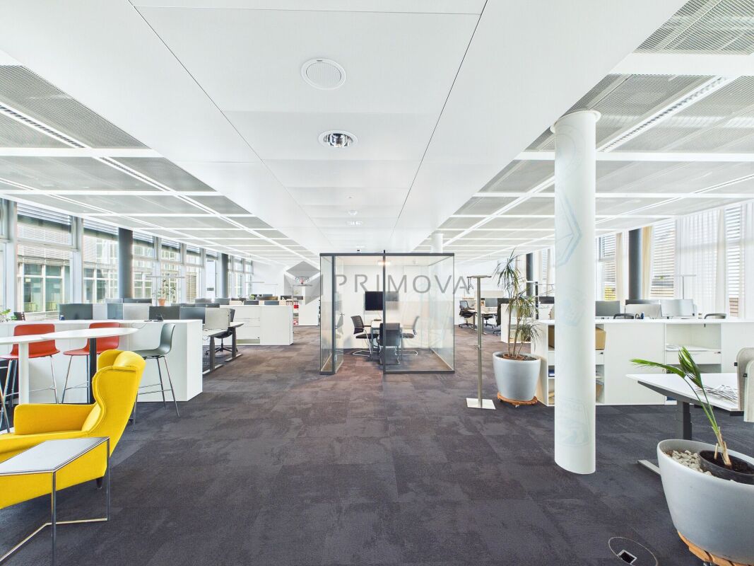 417m² office