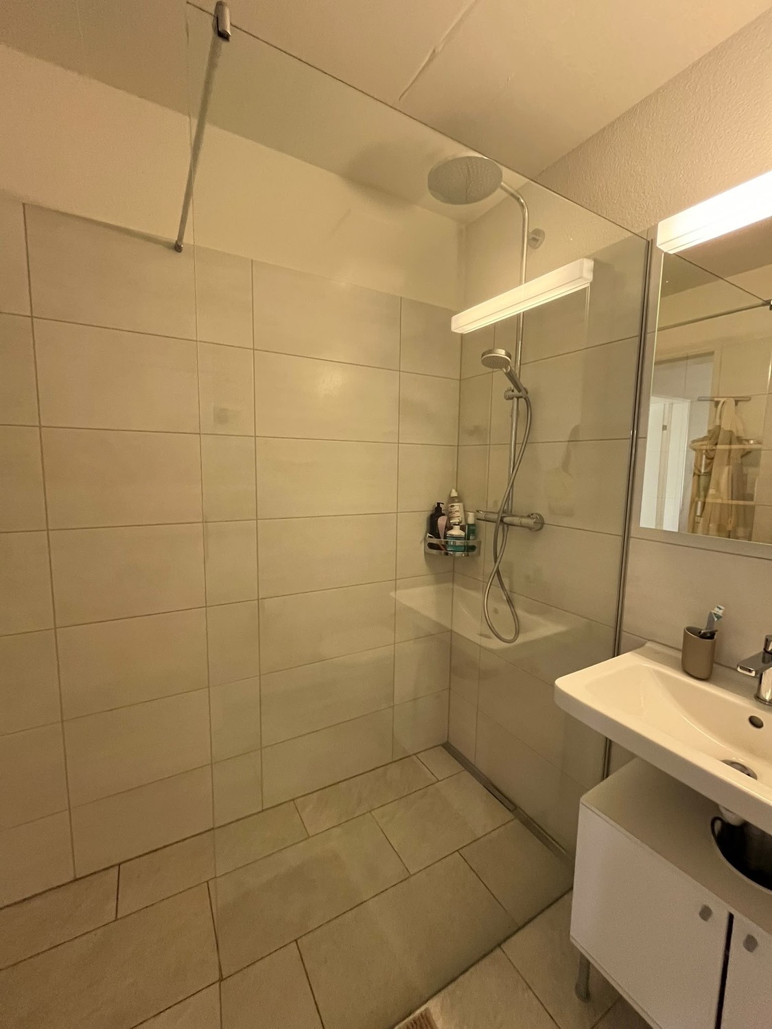 2 ½ Zimmer-Wohnung