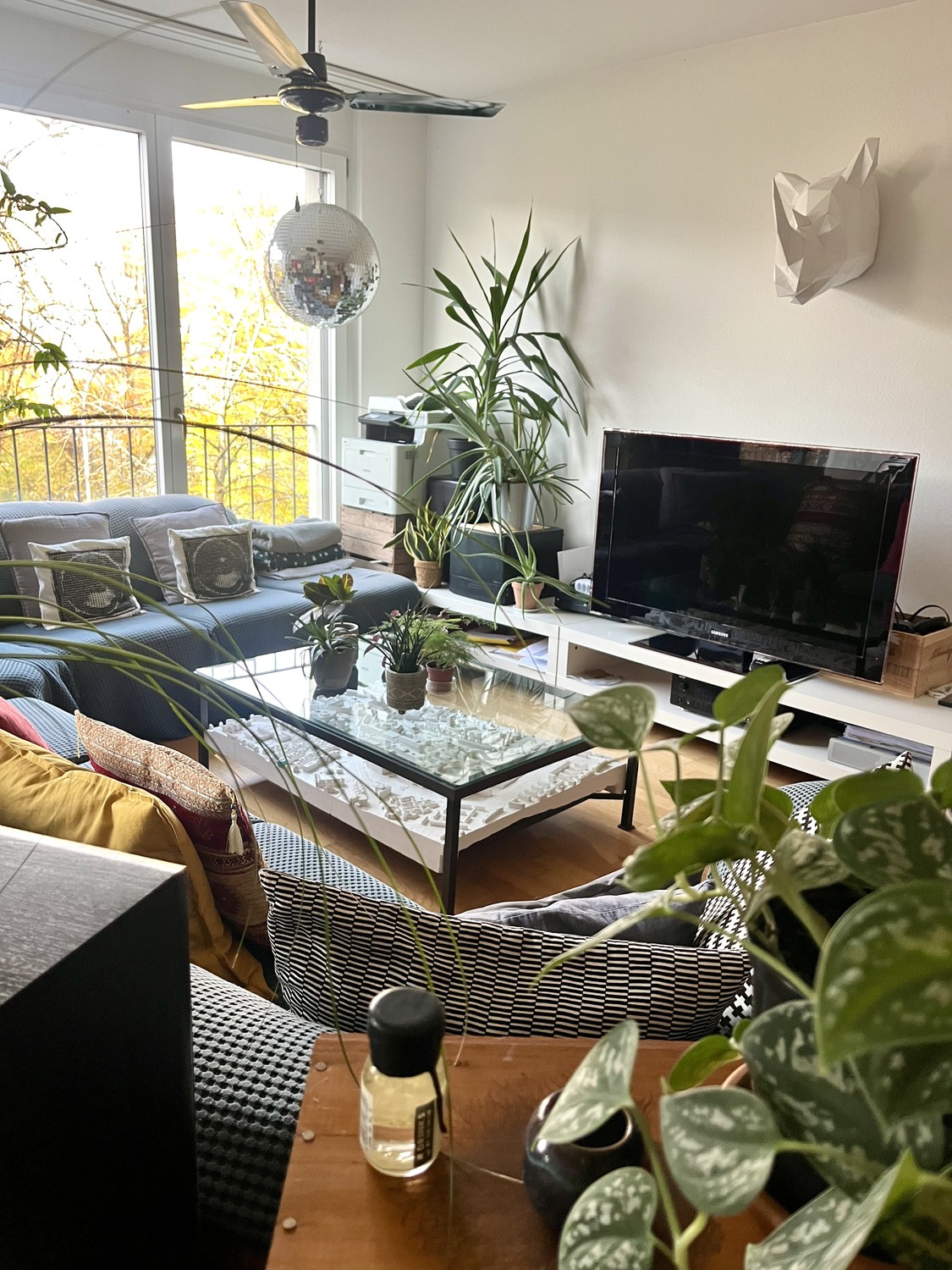 Room in a shared flat