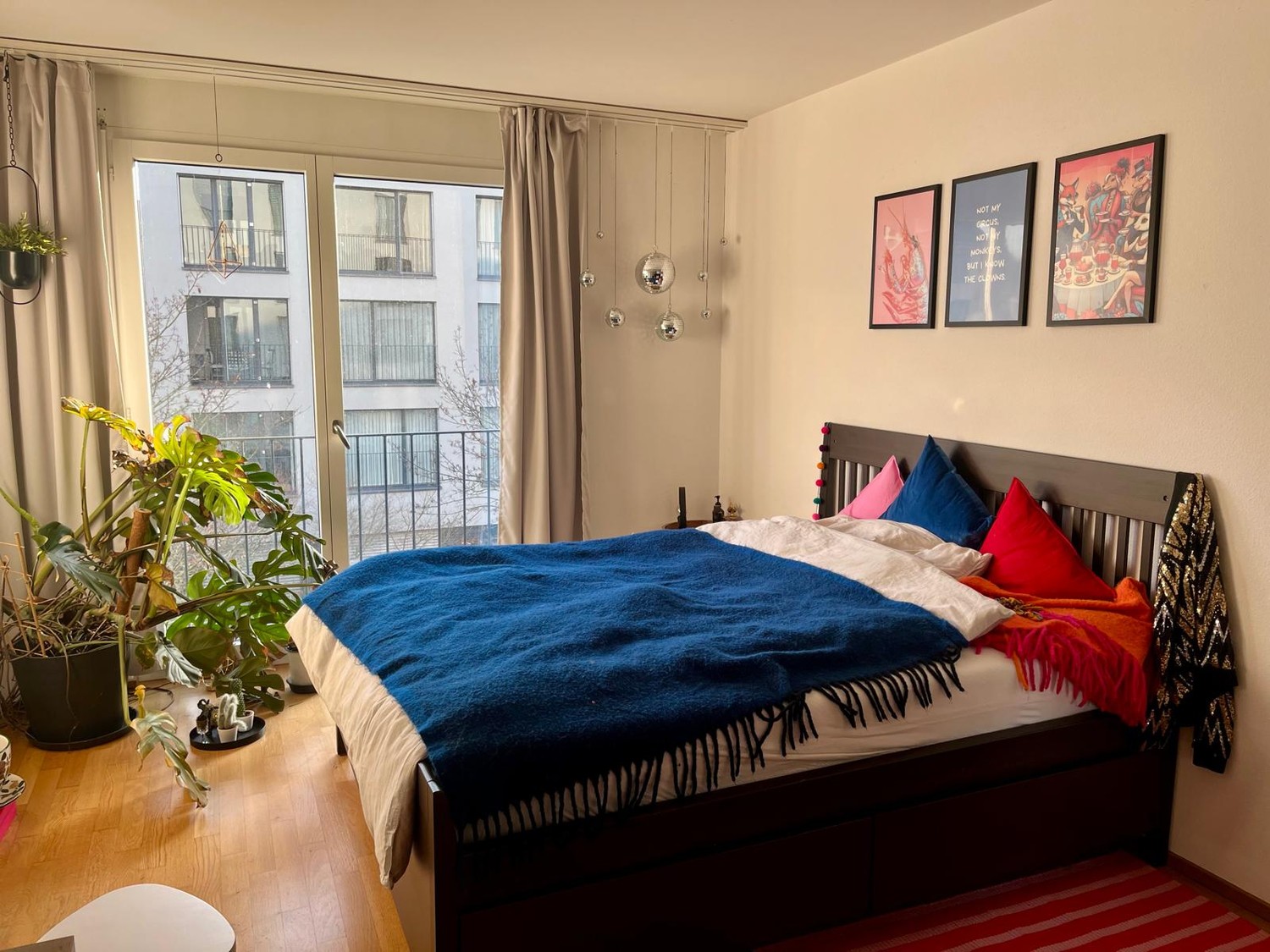 Room in a shared flat