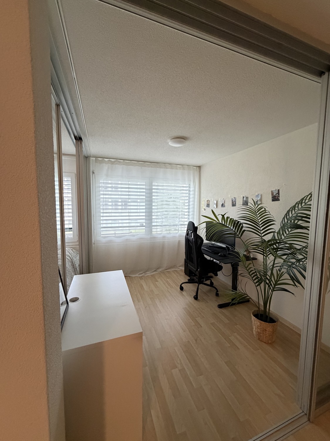 2 ½ Zimmer-Wohnung