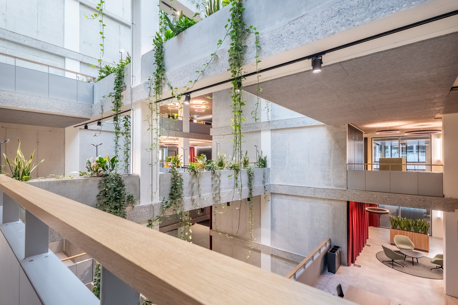 460m² commercial