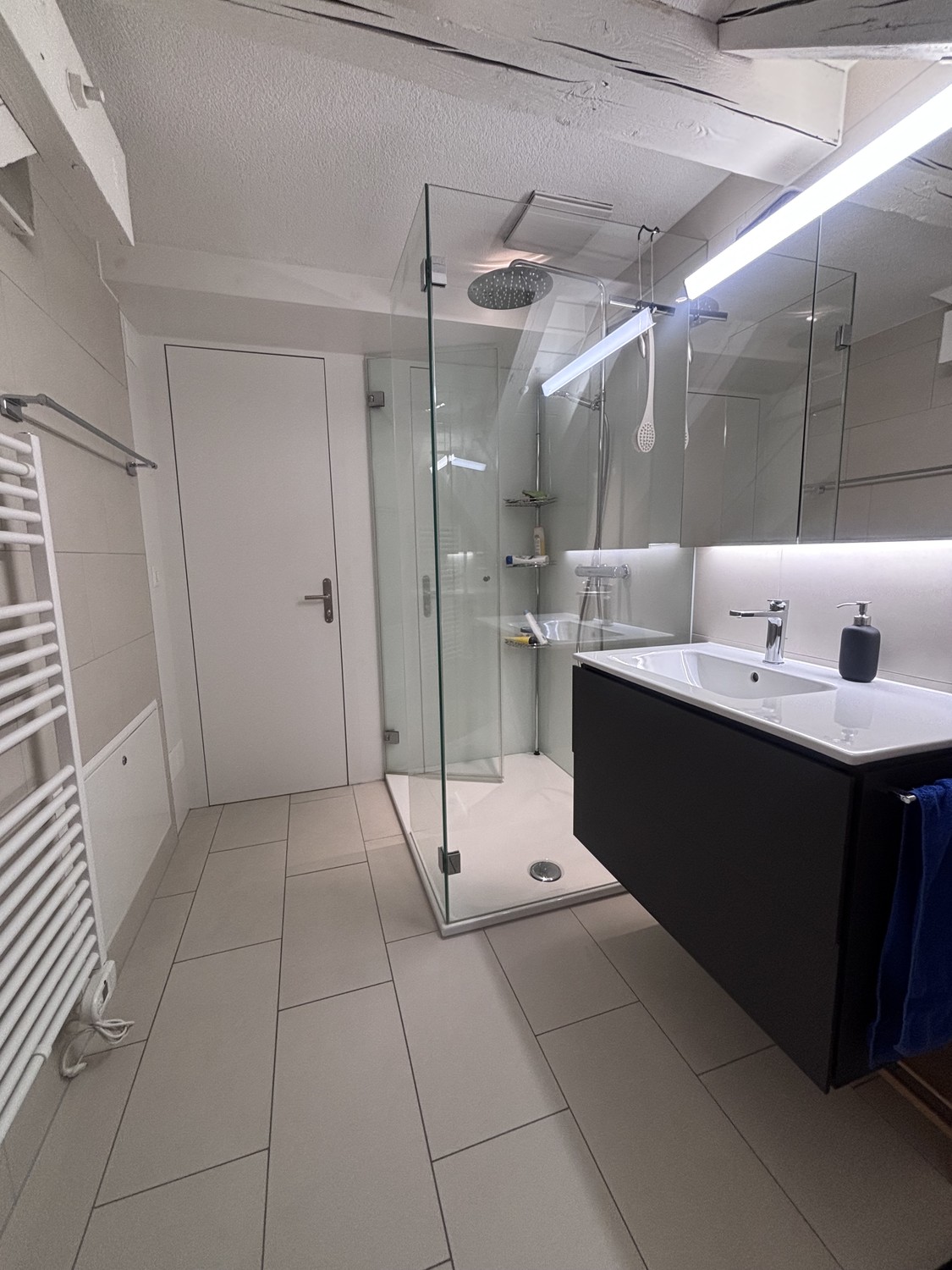 3 ½ Zimmer Wohnung