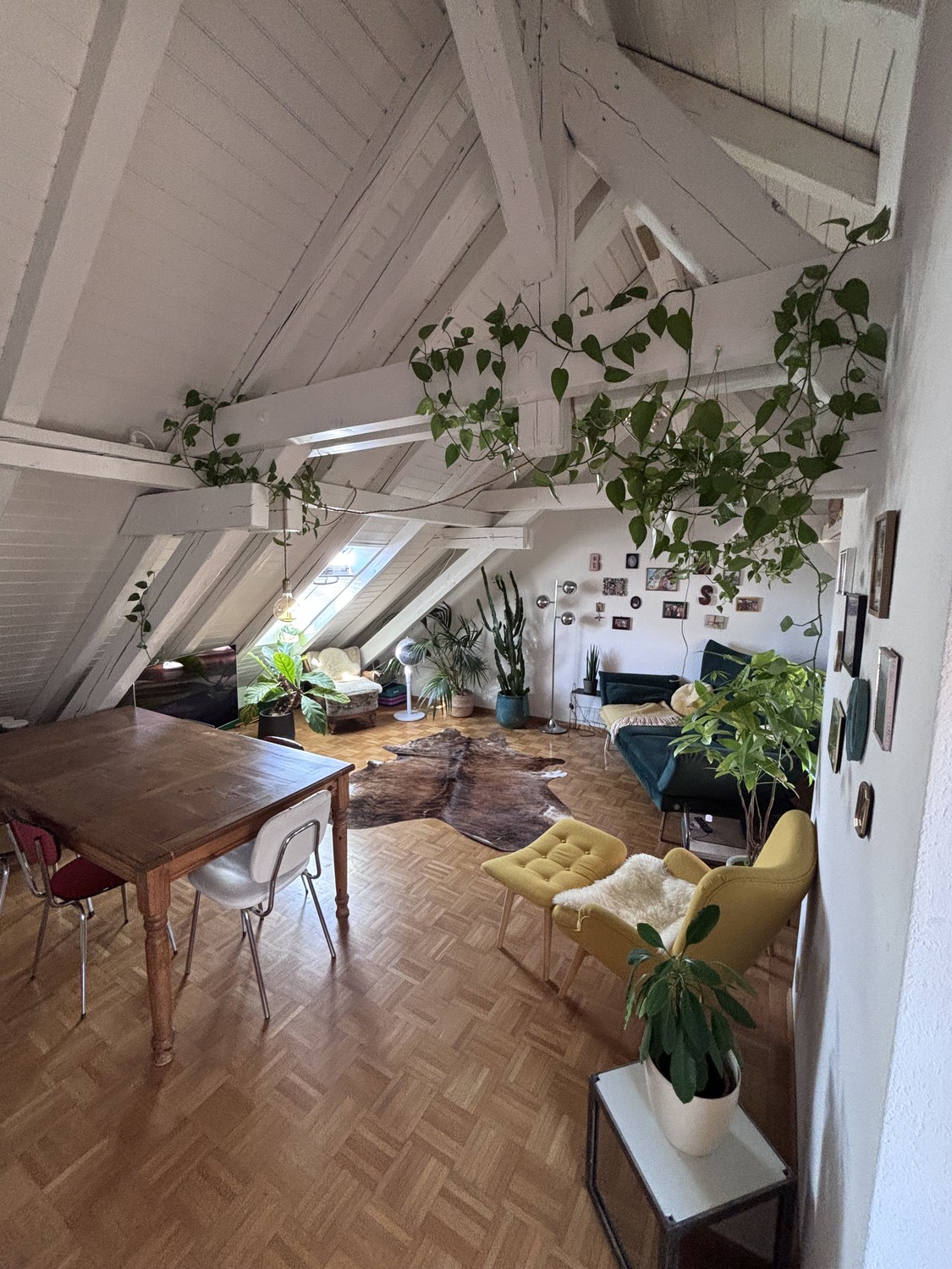3 ½ Zimmer Wohnung