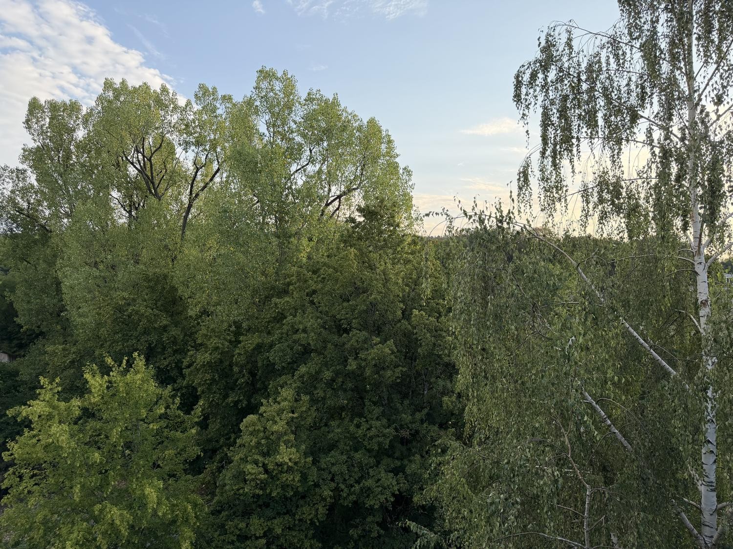3 ½ Zimmer Wohnung