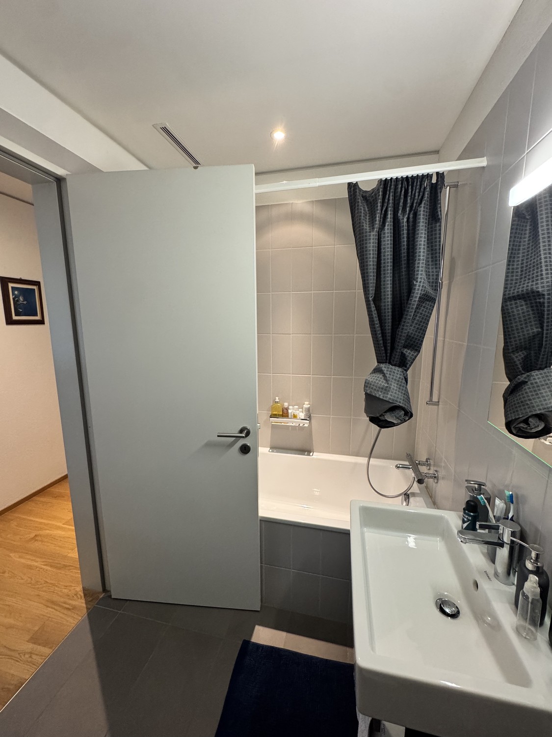 2 ½ Zimmer-Wohnung