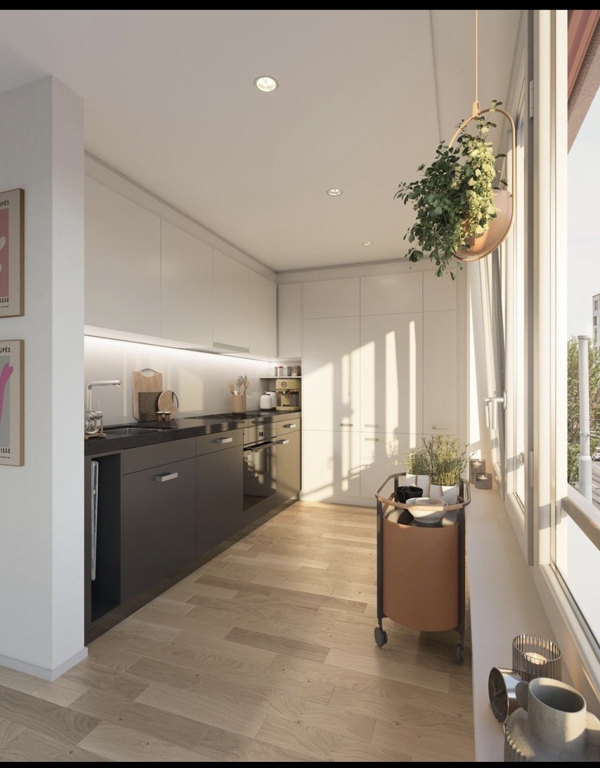 Room in a shared flat