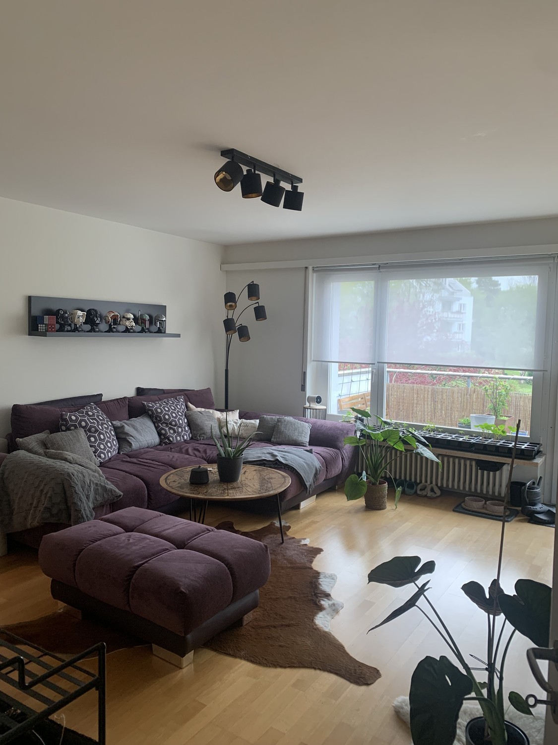 Room in a shared flat