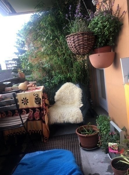2 ½ rooms furnished flat