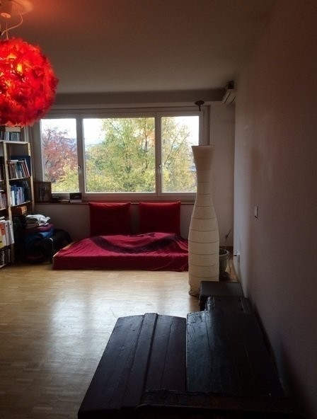 2 ½ rooms furnished flat