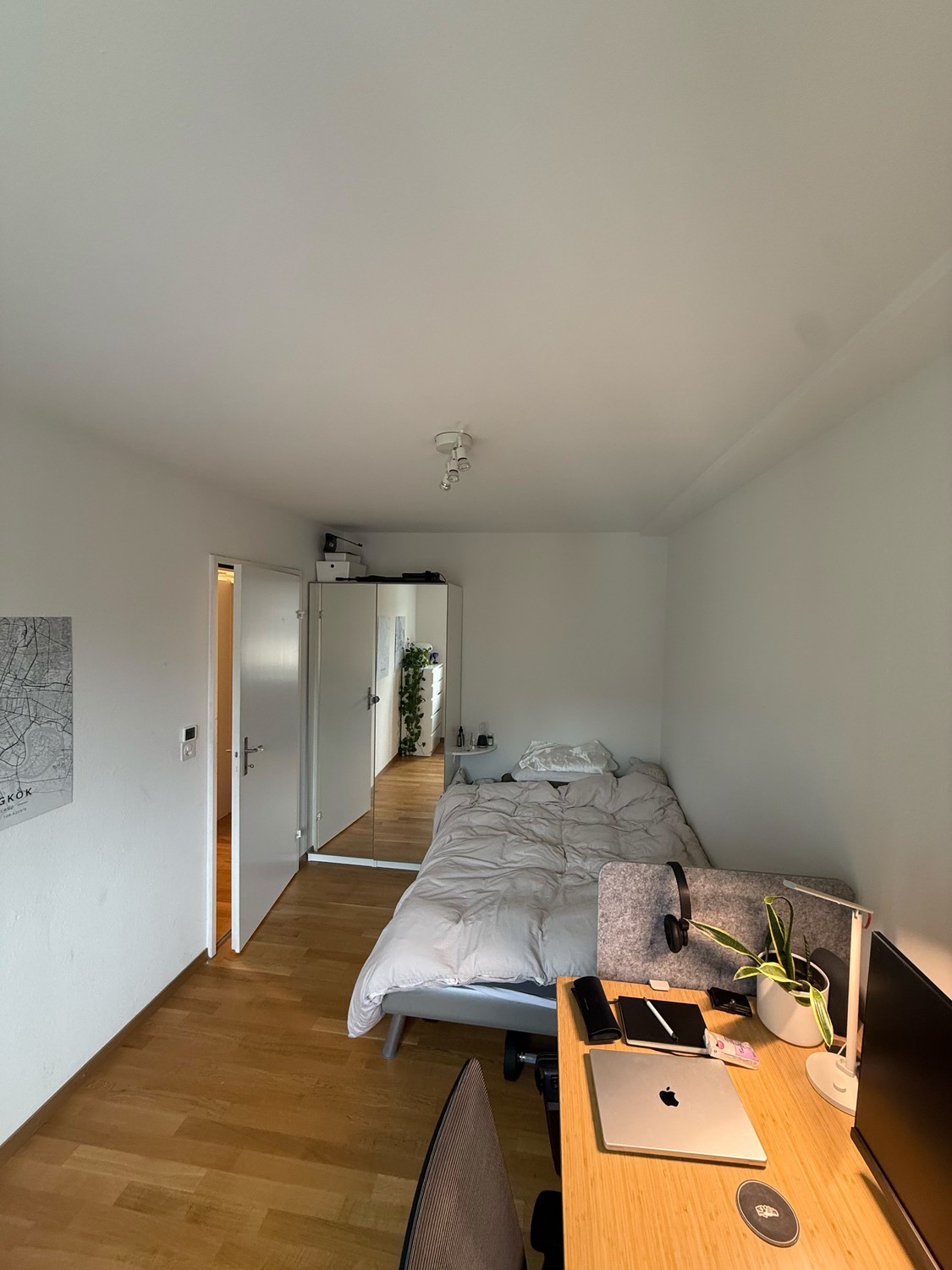 Room in a shared flat