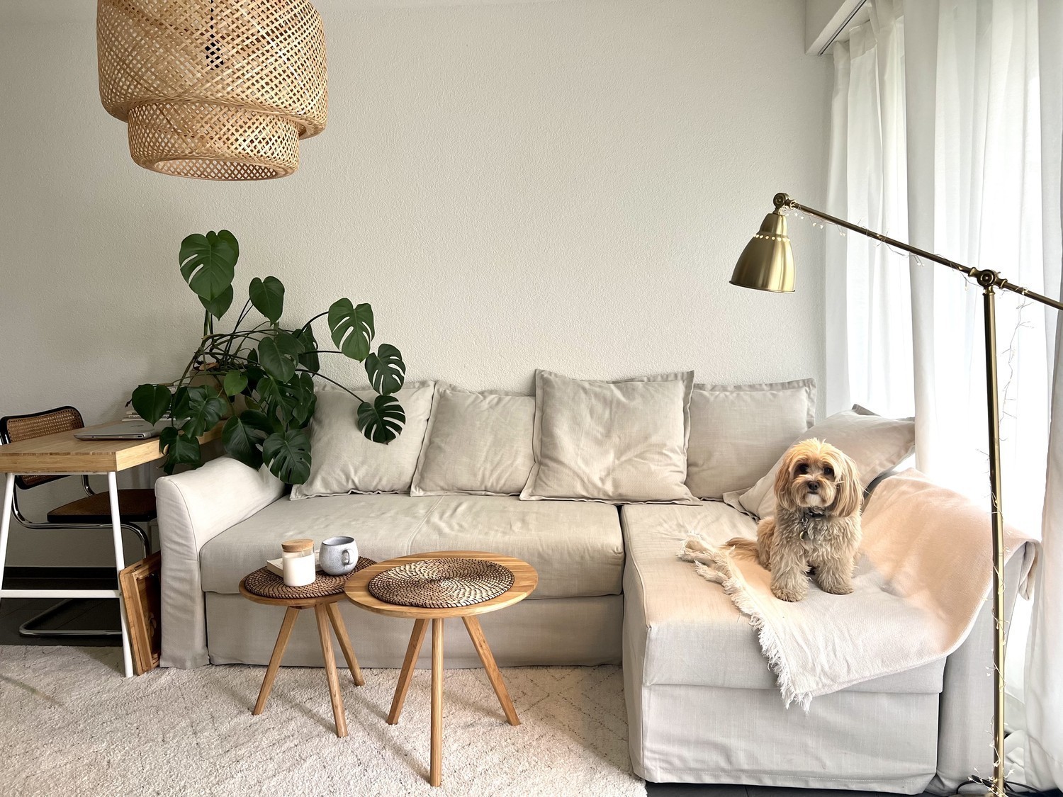 1 ½ Zimmer-Apartment