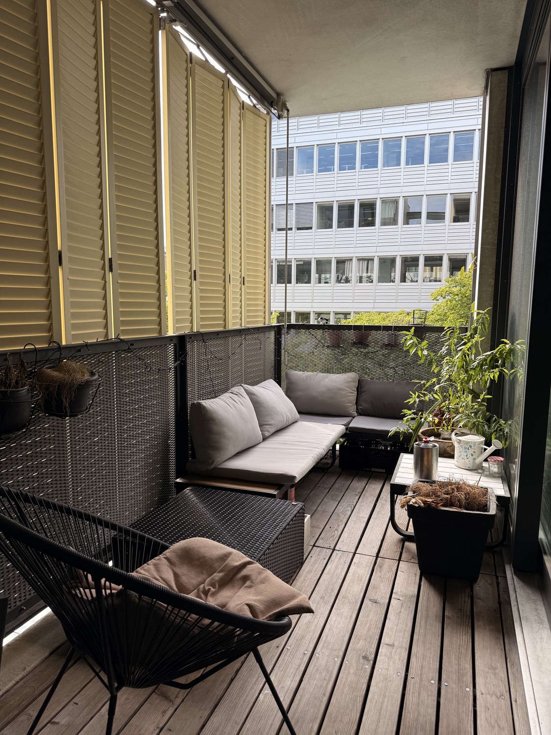 Room in a shared flat