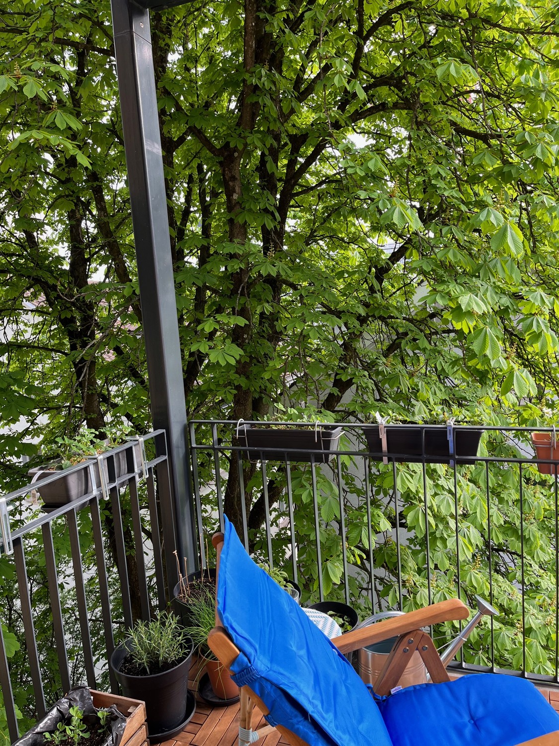 Appartamento di 3 ½ locali