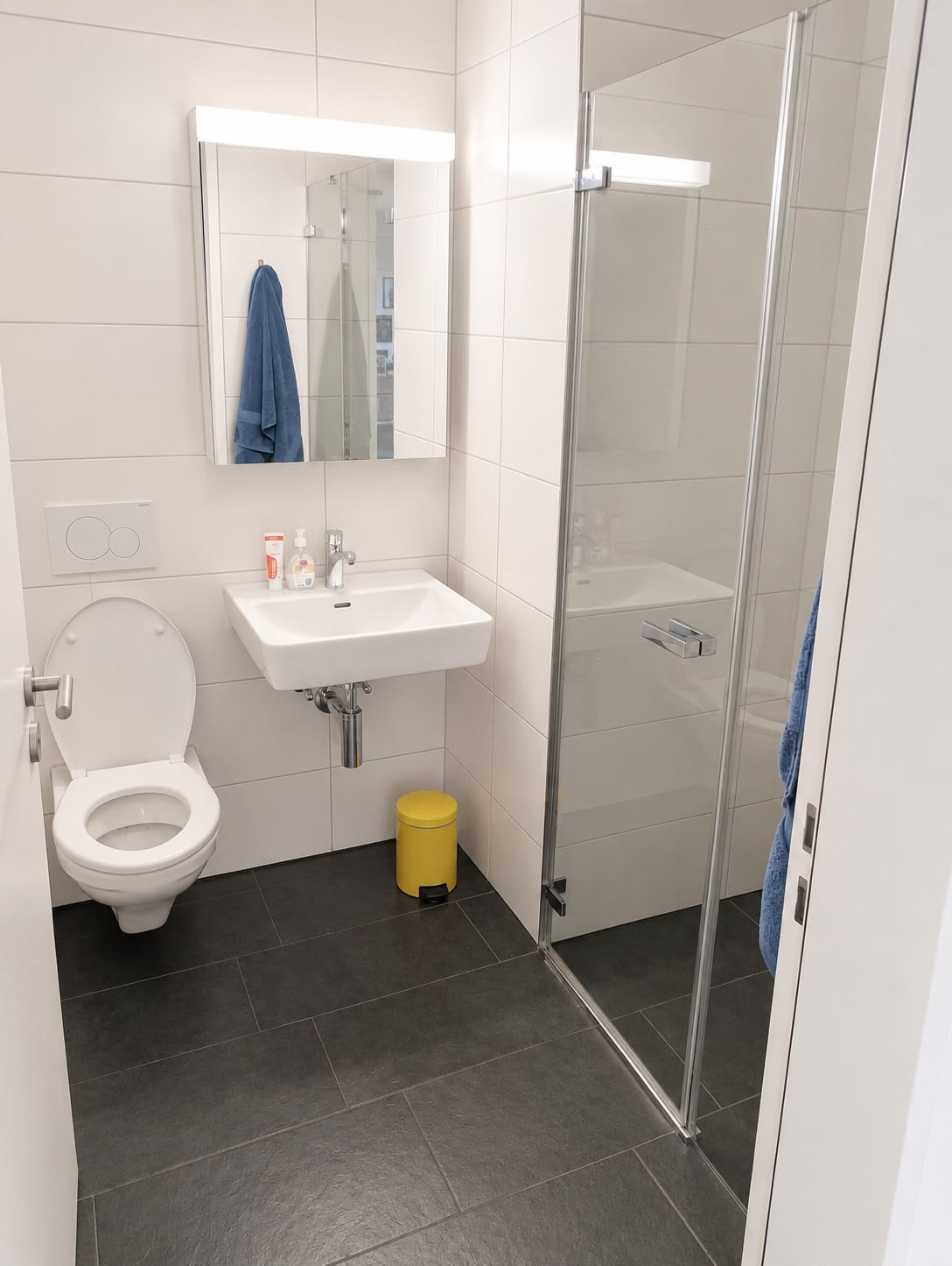 2 ½ Zimmer-Wohnung