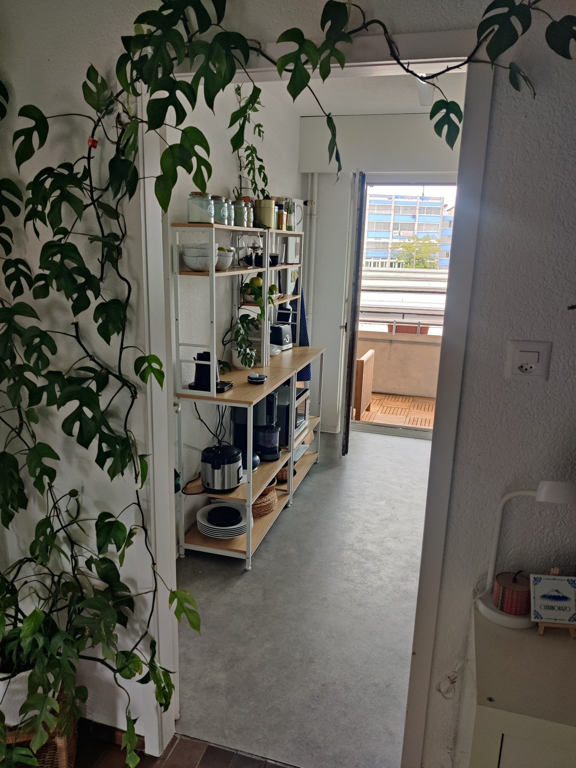 2 ½ Zimmer Wohnung