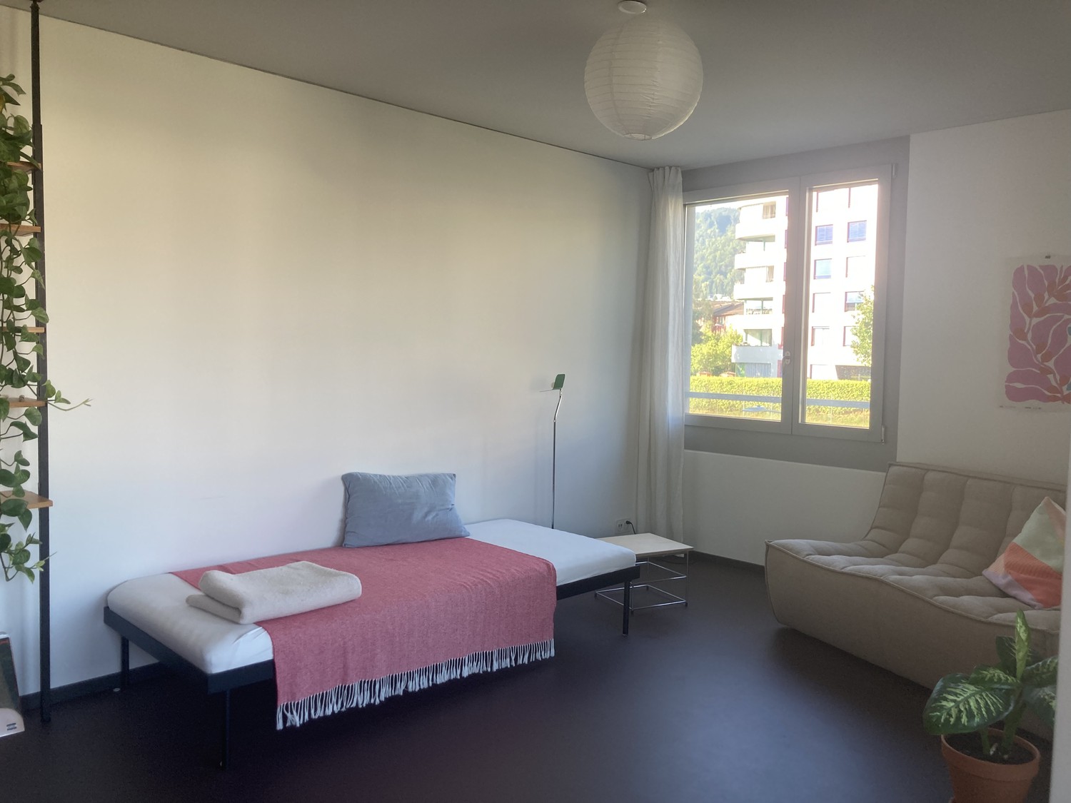 Room in a shared flat