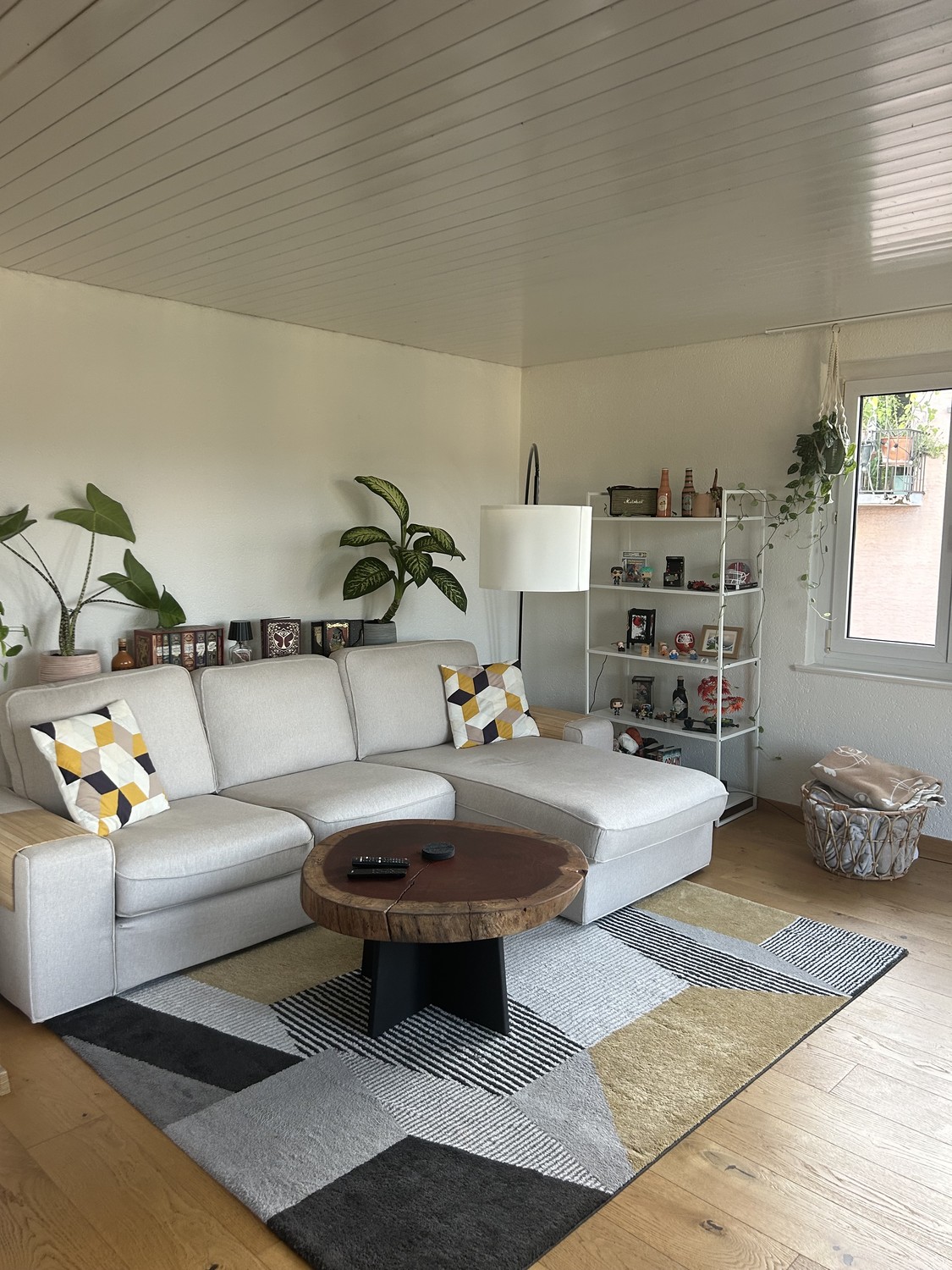 Room in a shared flat