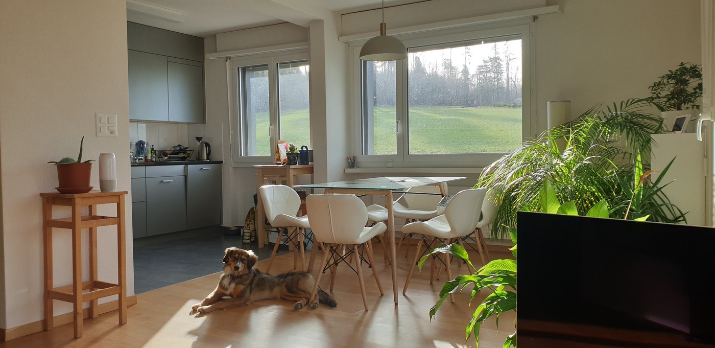 Zimmer in einer WG