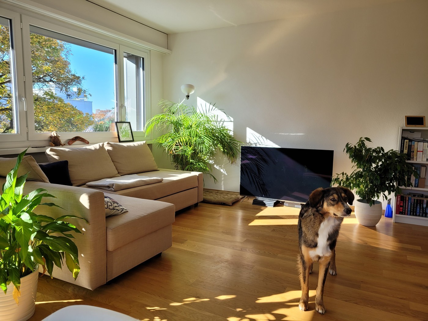 Zimmer in einer WG