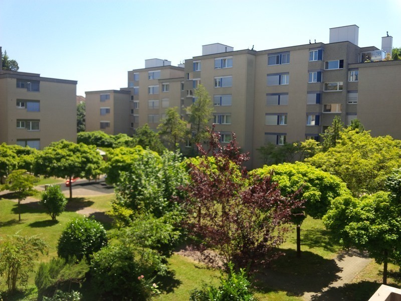 2-Zimmer-Wohnung