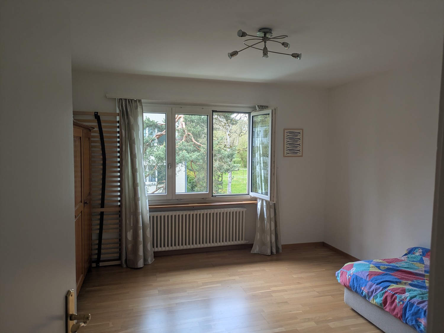 Room in a shared flat