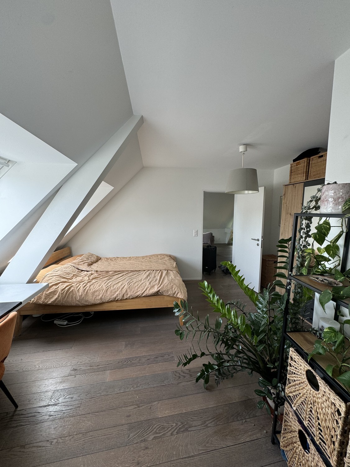 Room in a shared flat