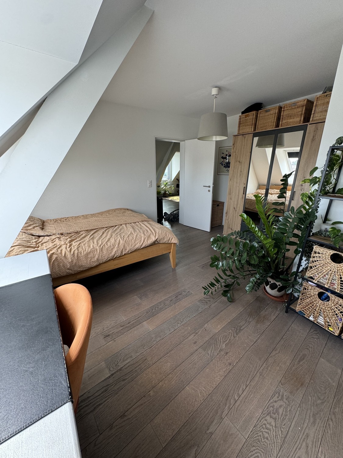 Room in a shared flat