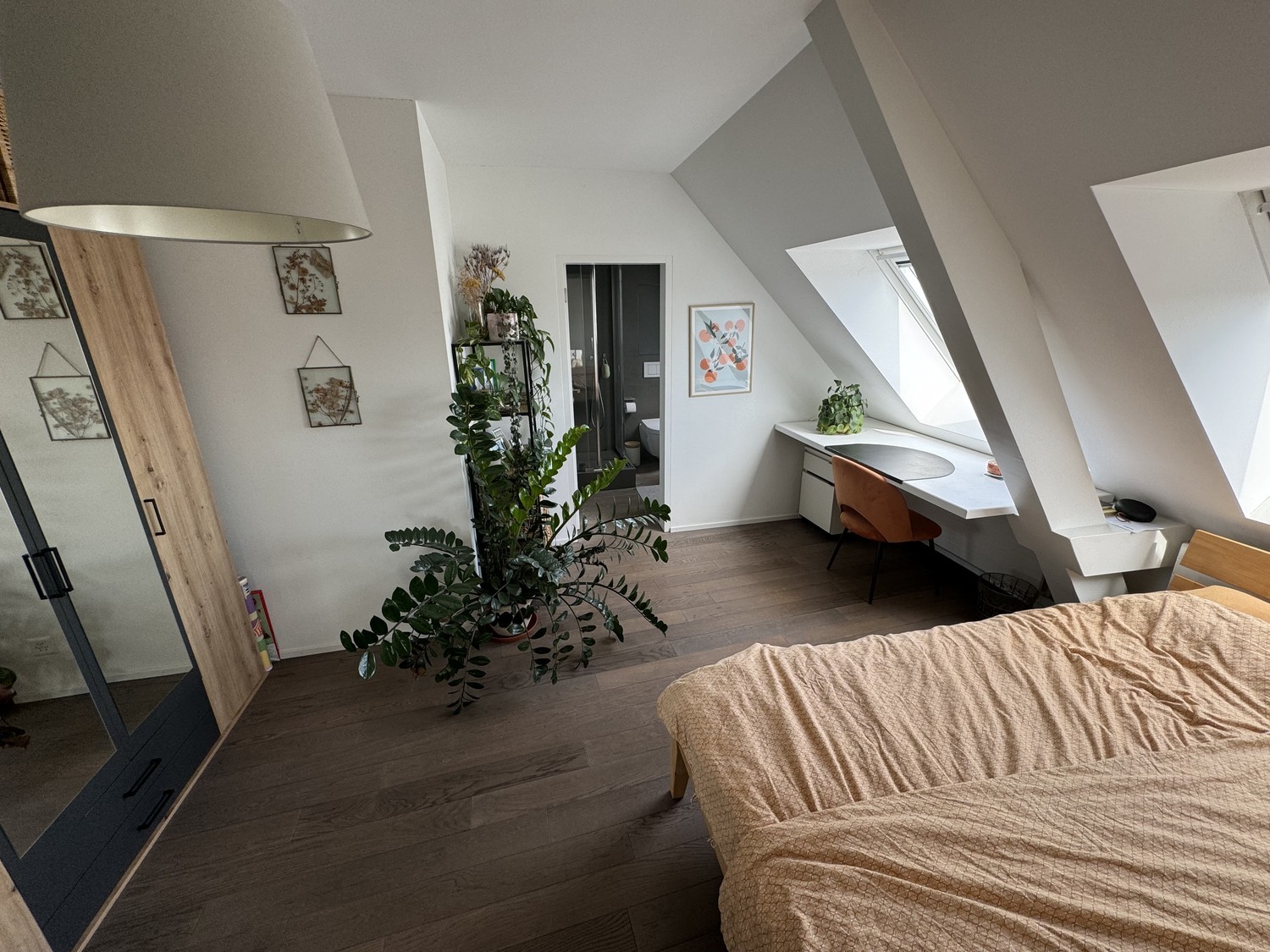 Room in a shared flat