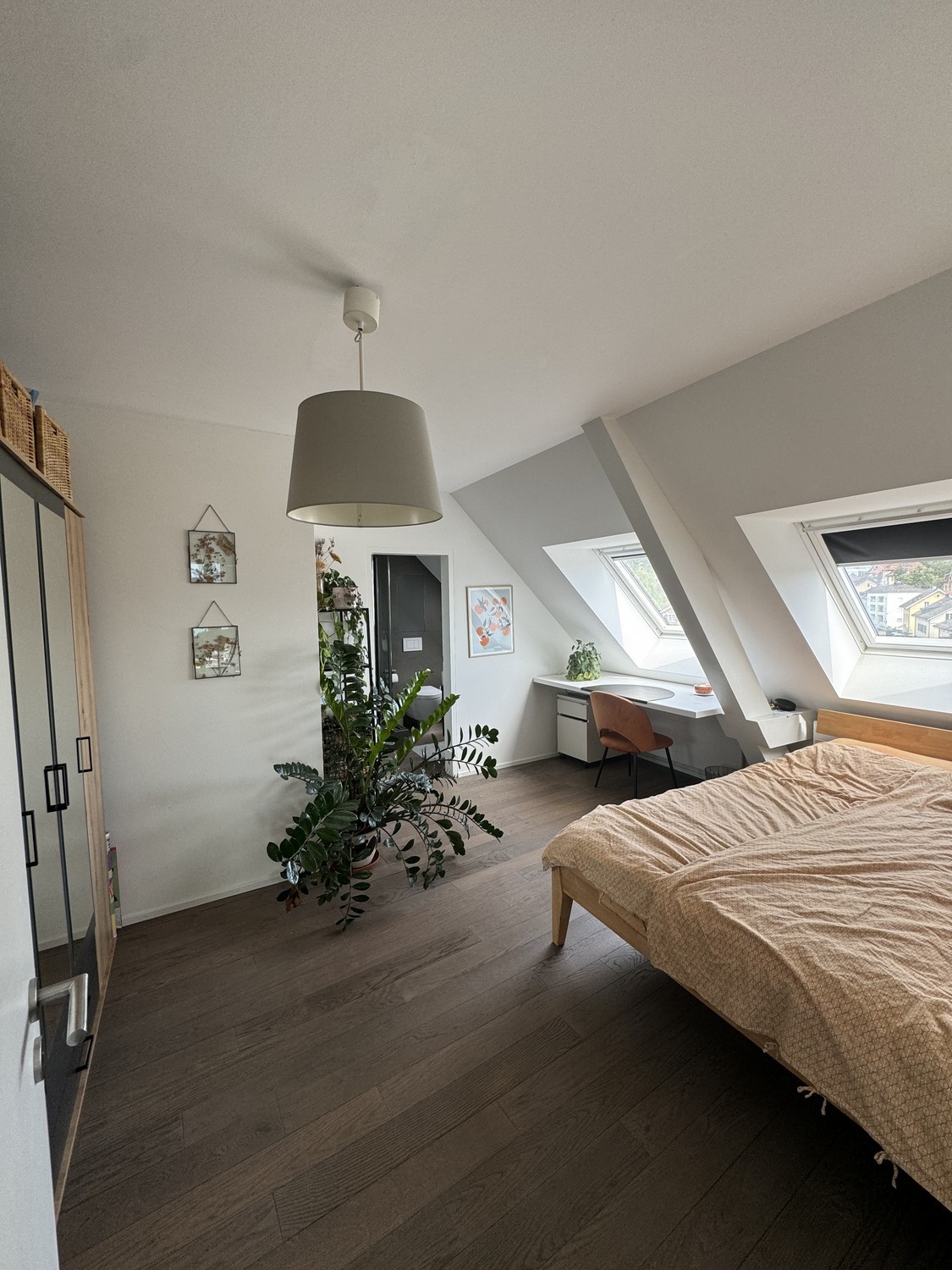 Room in a shared flat