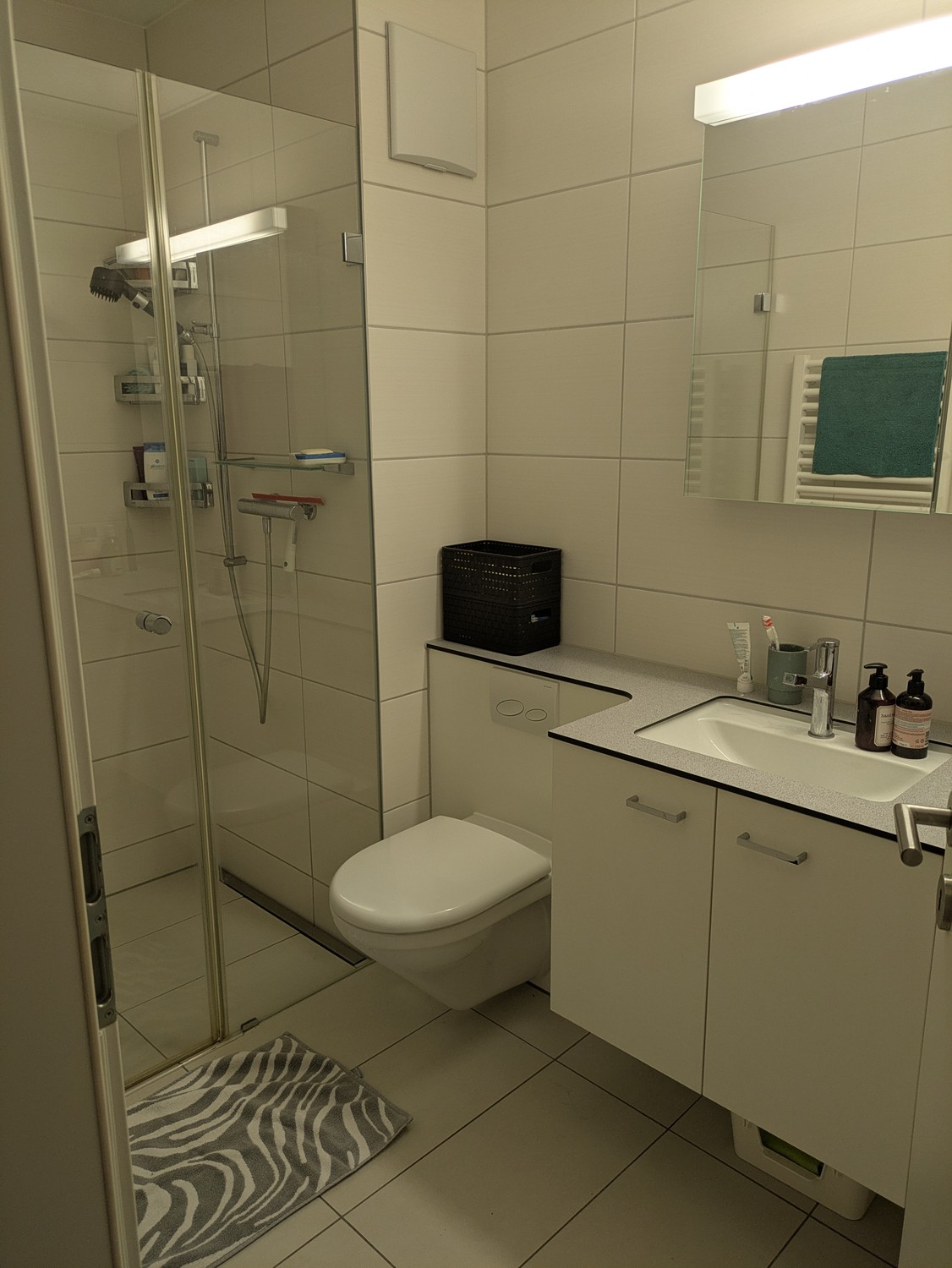Room in a shared flat