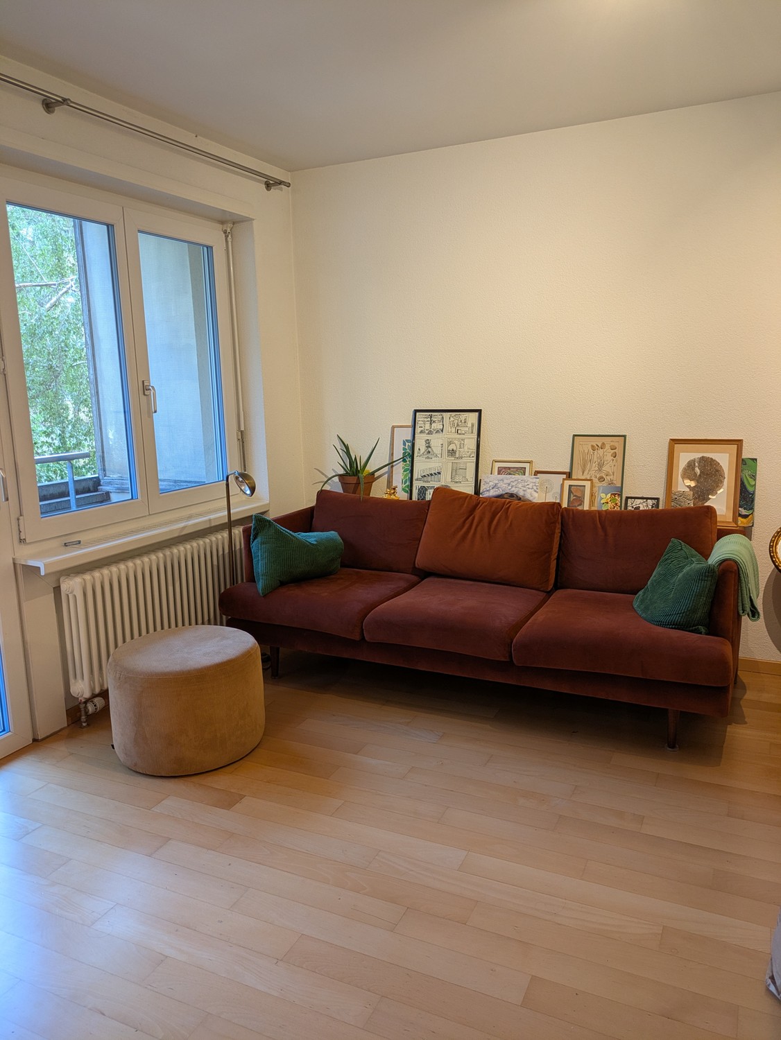 Room in a shared flat
