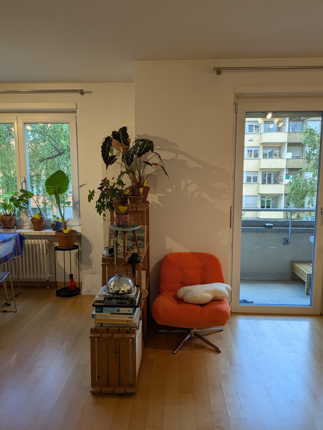 Room in a shared flat
