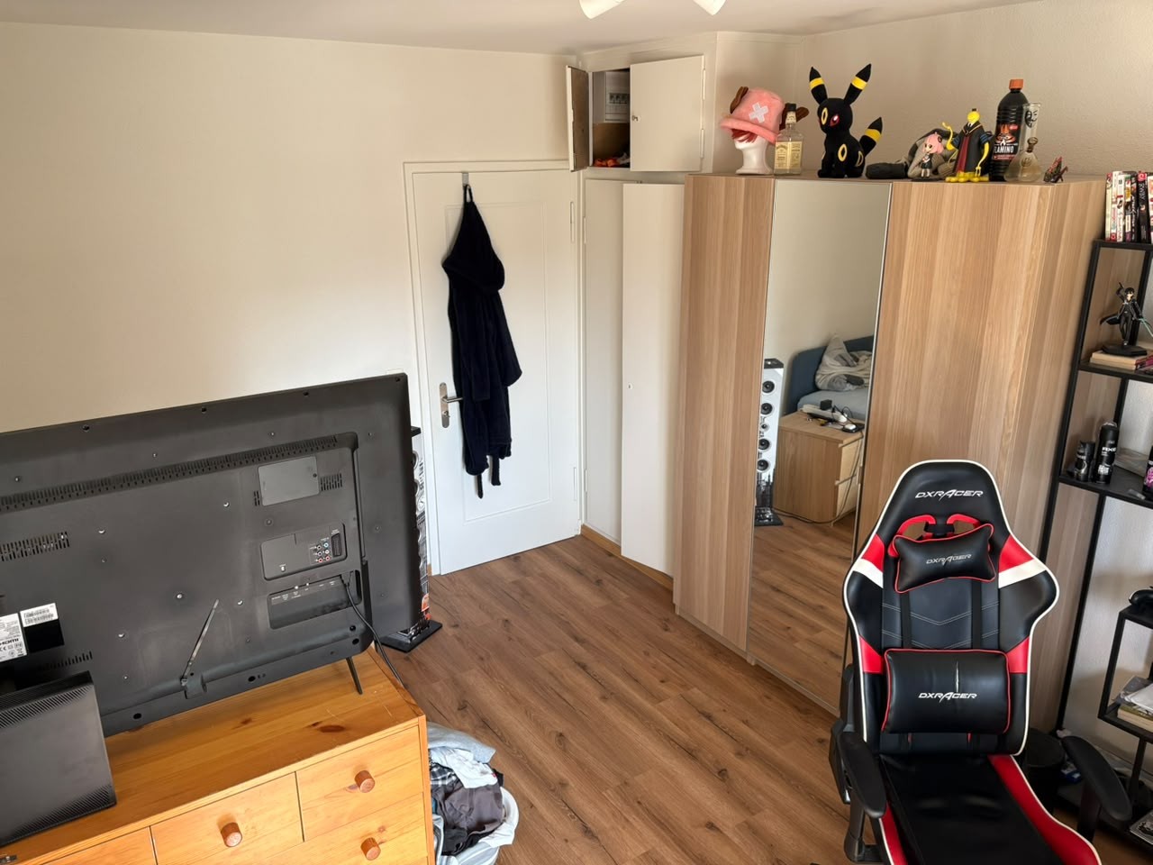 Room in a shared flat