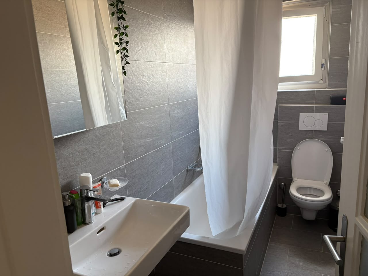 Room in a shared flat