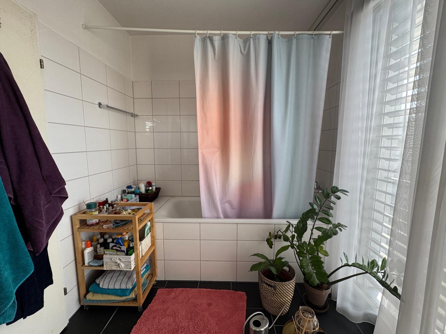 Room in a shared flat