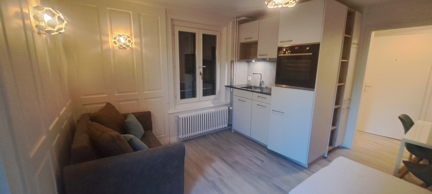 Appartement 1 pièce